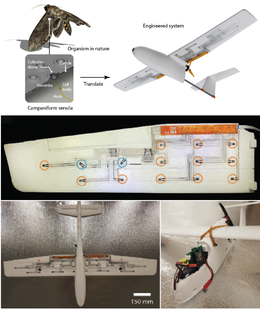 Haptic Interfaces example image
