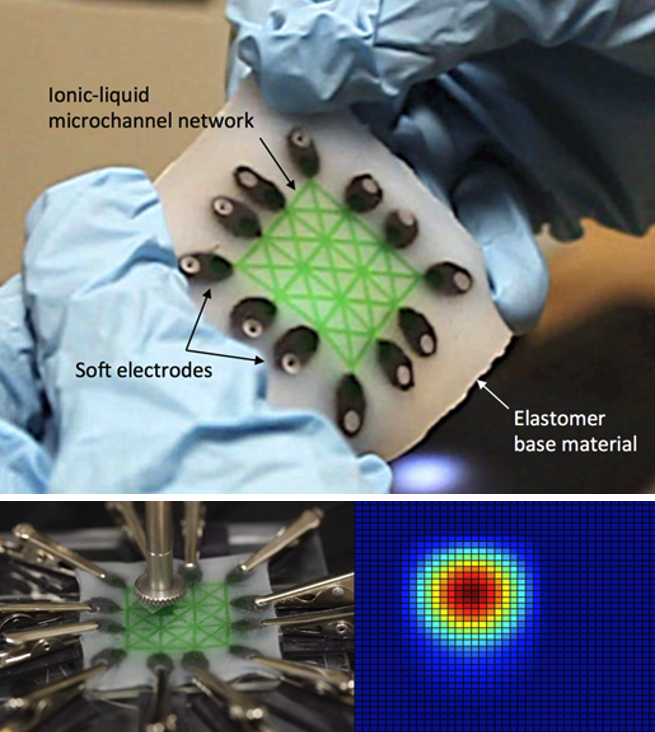 Biomedical Wearables example image